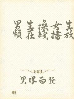 男生操女生的视频在线播放