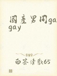 国产男同gaygay