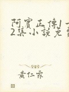 阿宾正传1一72集小说免费阅读