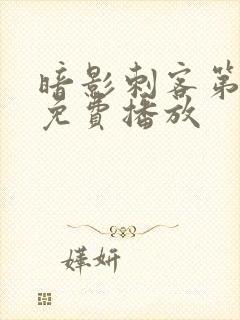 暗影刺客第七季免费播放