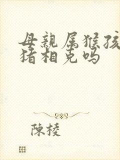 母亲属猴孩子属猪相克吗封面