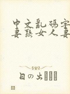 中文乱码字幕人妻熟女人妻封面