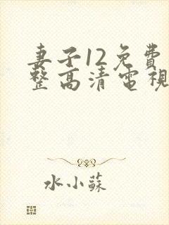 妻子12免费完整高清电视剧在线观看