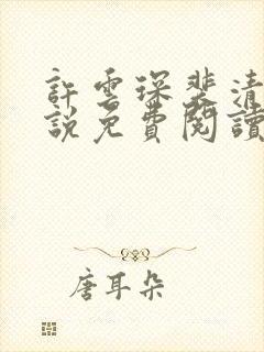 许云琛裴清欢小说免费阅读