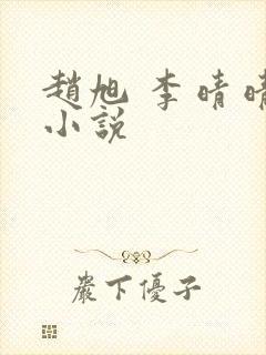 赵旭 李晴晴 小说封面