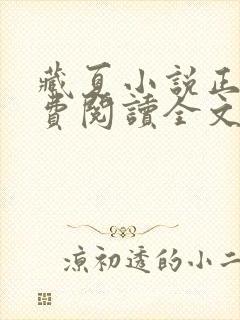 藏夏小说正版免费阅读全文无弹窗