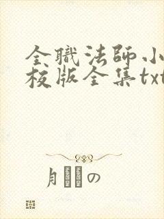 全职法师小说精校版全集txt封面