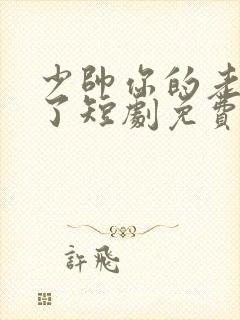 少帅你的老婆跑了短剧免费观看