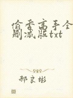偷香高手全文无删减版txt封面
