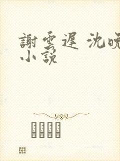 谢云迟 沈晚梨小说