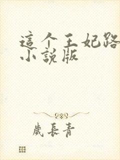 这个王妃路子野小说版封面