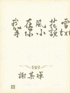 我在风花雪月里等你小说txt