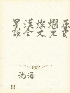 星汉灿烂原著小说全文免费阅读