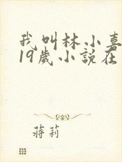 我叫林小喜今年19岁小说在线阅读全文