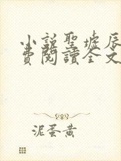 小说圣墟辰东免费阅读全文无窗口