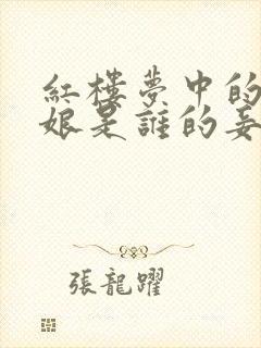 红楼梦中的周姨娘是谁的妾