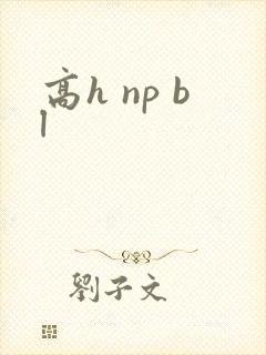 高h np bl