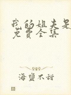 我的姐夫是太子免费全集