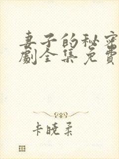 妻子的秘密电视剧全集免费播放