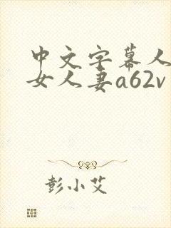 中文字幕人妻熟女人妻a62v