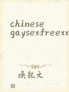 chinesegaysexfreexxx