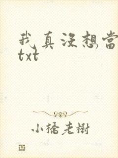 我真没想当反派txt