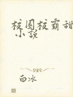 校园校霸甜宠文 小说