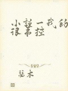 小说一我的姐姐很弟控封面