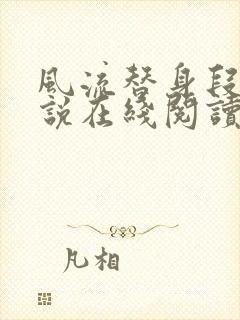 风流替身段誉小说在线阅读