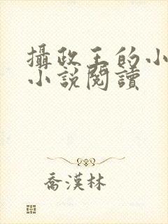 摄政王的小闲妻小说阅读