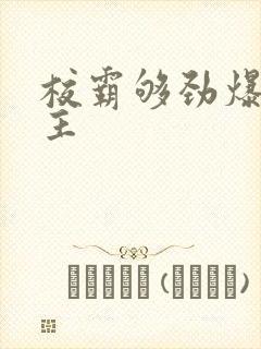 校霸够劲爆双男主封面
