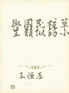 与国民校草是女生类似的小说