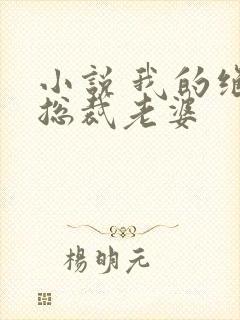 小说 我的绝色总裁老婆封面