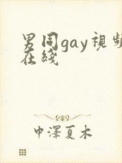 男同gay视频在线