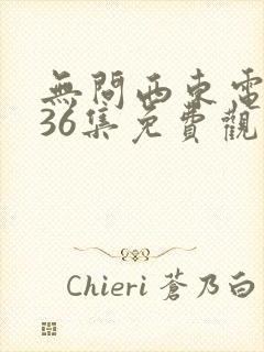 无问西东电视剧36集免费观看封面