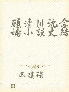 顾清川沈念李娇娇小说大结局封面