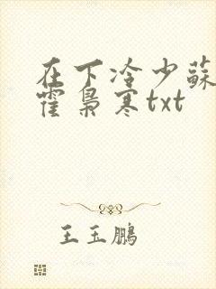 在下冷少苏婉,霍枭寒txt