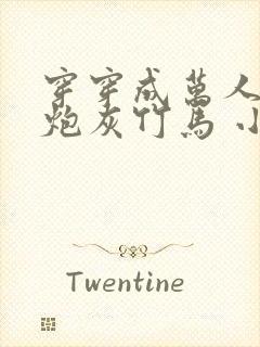 穿穿成万人迷的炮灰竹马 小说封面