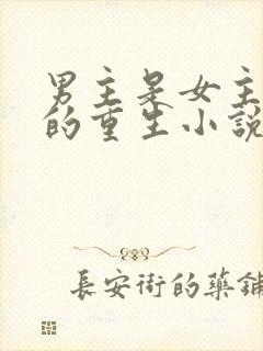 男主是女主小叔的重生小说封面