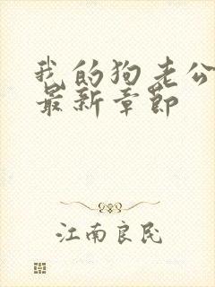 我的狗老公小说最新章节