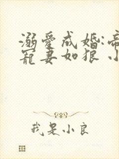 溺爱成婚:帝少宠妻如狼 小说
