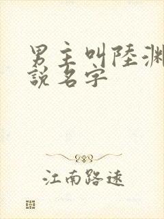 男主叫陆渊的小说名字