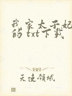 我家太子妃超凶的 txt下载