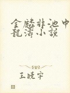 金麟非池中物侯龙涛小说