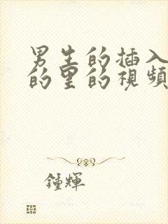 男生的插入女生的里的视频