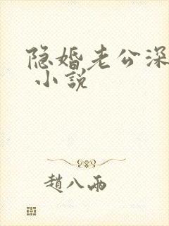 隐婚老公深夜来 小说
