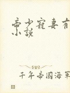 帝少宠妻有点甜小说