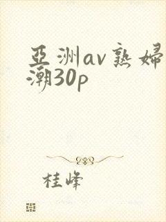 亚洲av熟妇高潮30p