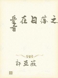 爱在日落之前收看