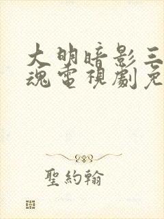 大明暗影三百忠魂电视剧免费观看